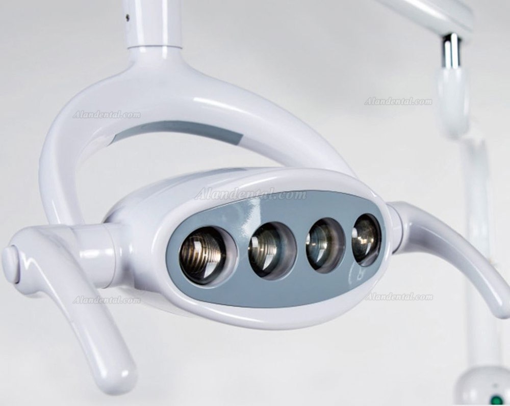 Saab P102A Dental 15W Shadowless Oral Light Lamp Floor Standing Type